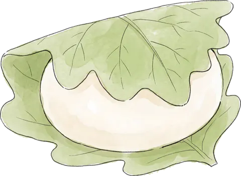 かしわもち