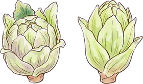 ふきのとう