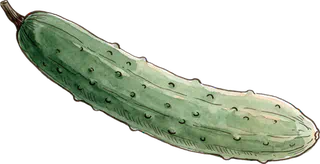 きゅうり