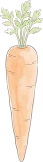 にんじん