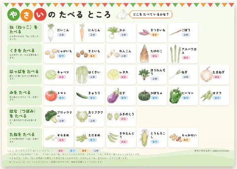 学習ポスター「やさいの たべる ところ」